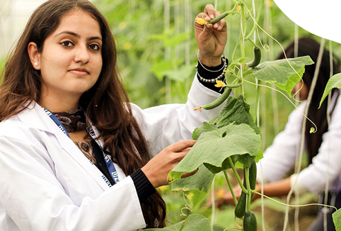 Higher Education Consultants In Coimbatore
